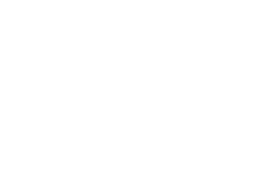 Opto-Mization Logo